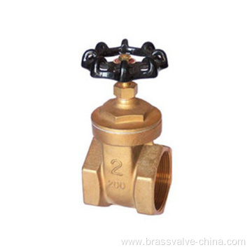 PN 16 thread oil and gas pipeline water brass gate valve HG13